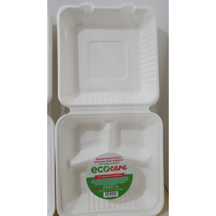 Food Products - Ecocare  Disposable  Takeaway Lunch Box Container Paper Pulp Sugarcane - (10 pieces - 1150ml)