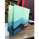 Bags - 3D Laminate Non woven Bag Red or Blue - Image 7