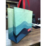 Bags - 3D Laminate Non woven Bag Red or Blue