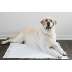 Pads - Under Pads - Clinic - Disposable (single use)  for Adults, Kids, and Pets, - Image 5