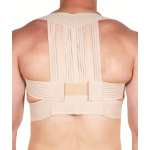 ADCO - Posture Support from S to XL  -  REF: 04200 - 04201